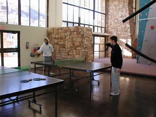 meandturnerpingpong.jpg