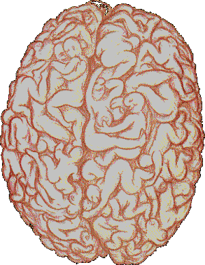sexonthebrain.gif