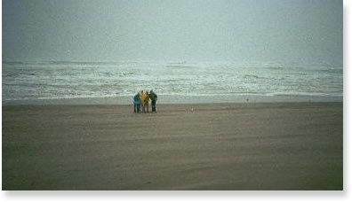 theocean.jpg